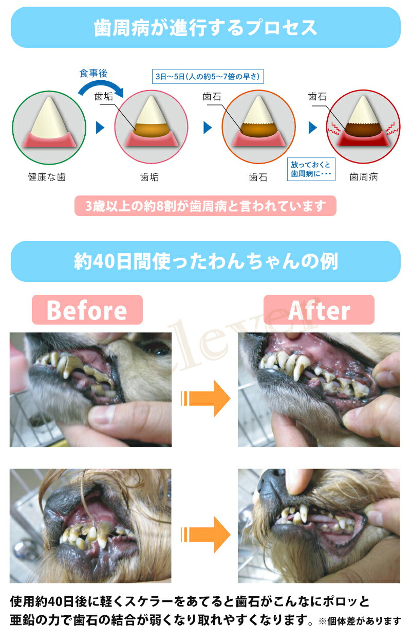 KPS マウスクリーナー 237ml リキッドタイプ いぬ ねこ ペット用品