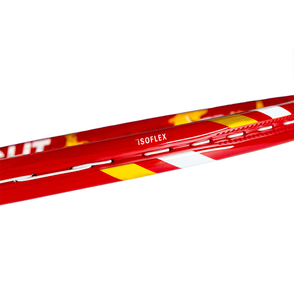 Tecnifibre（テクニファイバー） 硬式テニスラケット T-FIGHT 300