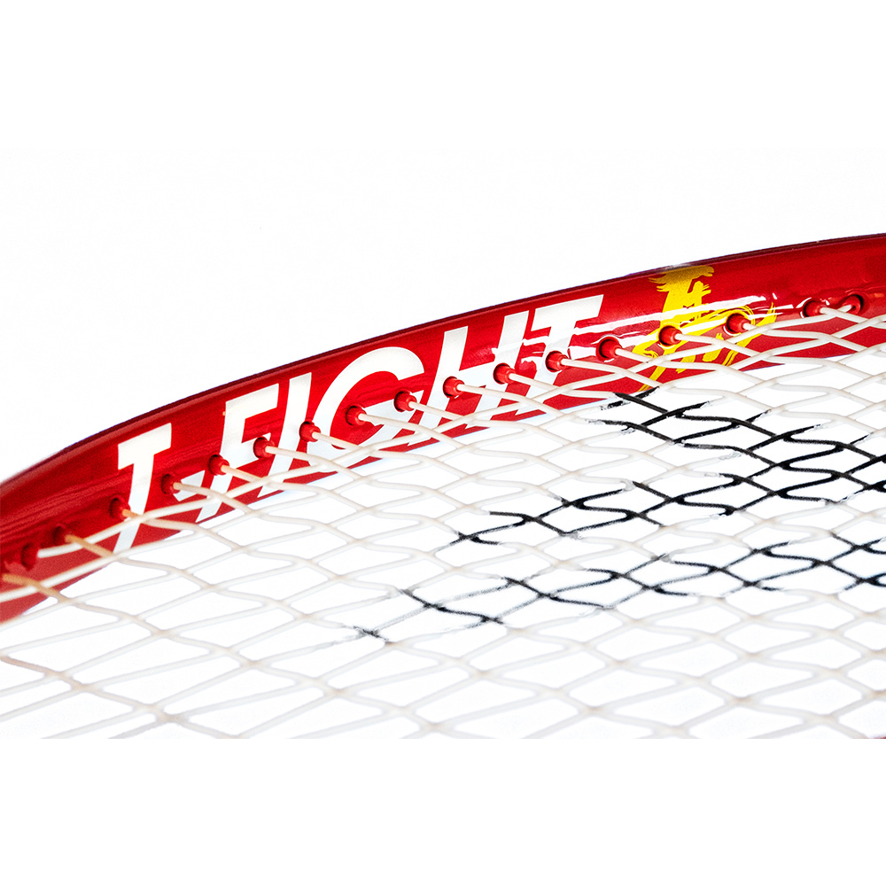 Tecnifibre（テクニファイバー） 硬式テニスラケット T-FIGHT 300