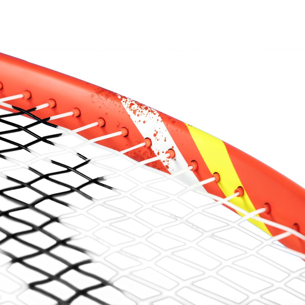 Tecnifibre（テクニファイバー） テニスラケット TFIGHT 300S IG