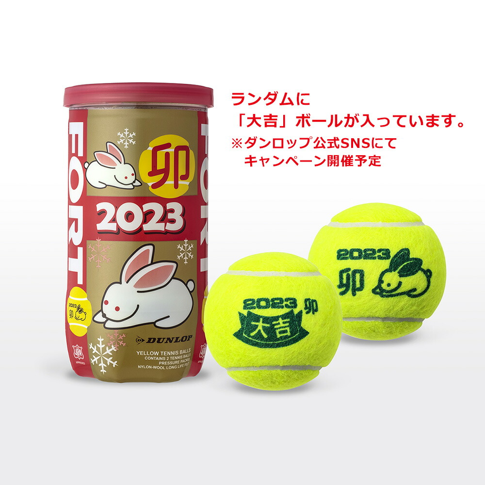 SALE】 Dunlop ダンロップ フォート 1箱60球 savingssafari.com