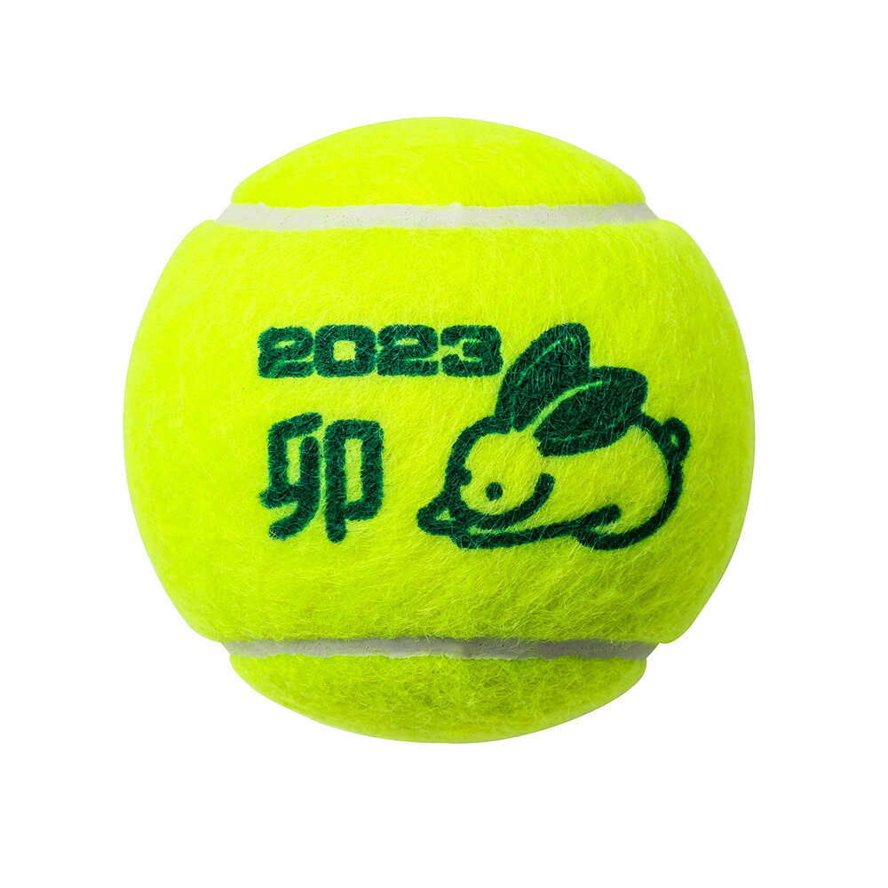 「365日出荷」ダンロップ DUNLOP 硬式テニスボール 干支ボール 2023年「卯」FORT フォート 2個入 1箱 30缶/60球  DFE23ETOYL2 『即日出荷』