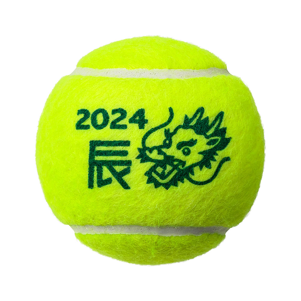 ダンロップ DUNLOP 硬式テニスボール 干支ボール 2024年「辰」FORT フォート 2個入 1箱 30缶/60球  DFF24ETOYL2『即日出荷』