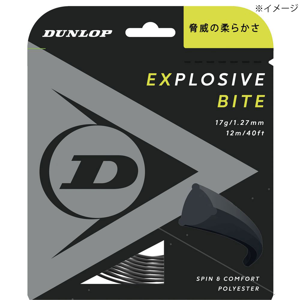 ダンロップ DUNLOP テニスガット・ストリング  EXPLOSIVE BITE エクスプロッシブ・バイト 単張 12m DST11011｜kpi｜02