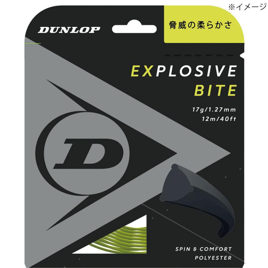 ダンロップ DUNLOP テニスガット・ストリング EXPLOSIVE BITE エクスプロッシブ・バイト 単張 12m DST11011 ガット 