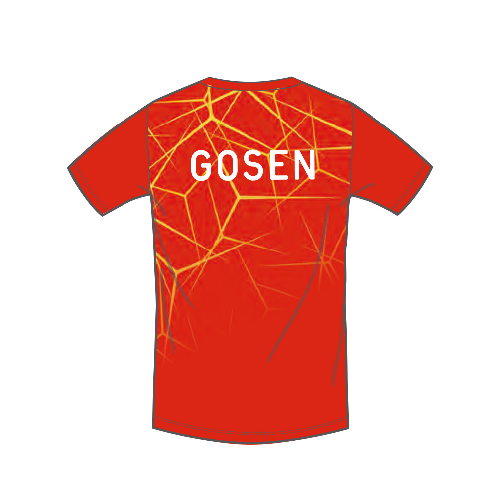 テニス GOSEN 赤色 ウェア レア GOSEN テニス シャツ（色：レッド系）｜ウエア｜テニス｜スポーツ