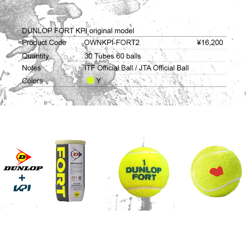 「SDGsプロジェクト」「KPIオリジナルモデル」「新パッケージ」DUNLOP ダンロップ 「FORT フォート [2個入]1箱 30缶/60球  」テニスボール 『即日出荷』