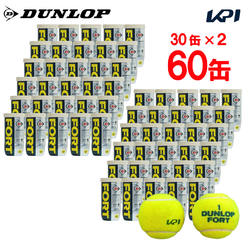 ダンロップ FORT フォート 2球×30缶(60球) 1箱 DFEYL2DOZ 硬式