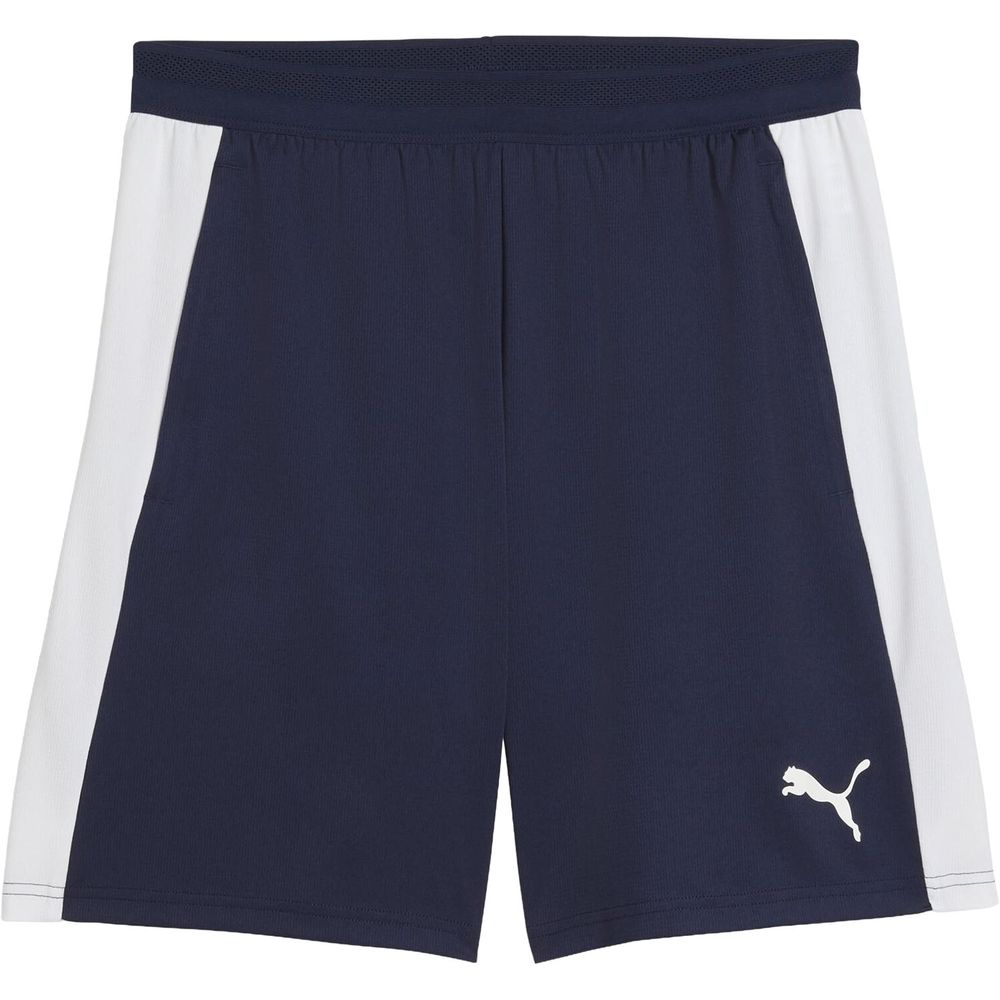 PUMA（プーマ） サッカーウェア メンズ TEAMFINAL TR ショーツ 660953