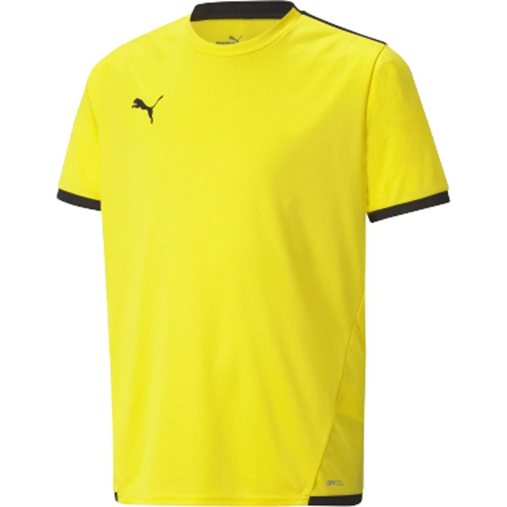 PUMA BAPE.FC サッカーシャツ　ゲーム　L グラデーション　プーマ　L PUMA（プーマ） サッカーウェア ジュニア TEAMLIGA ゲームシャツ