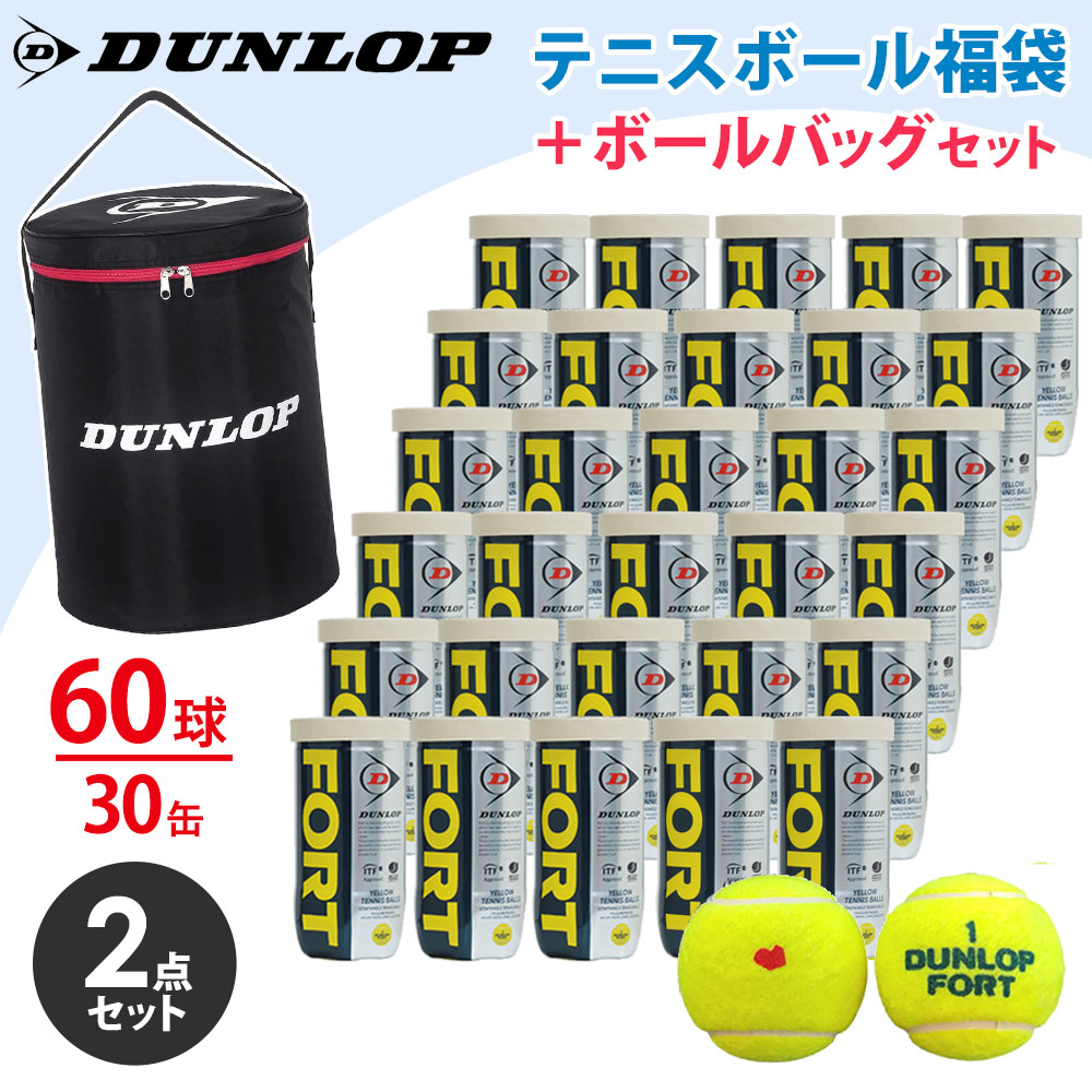 DUNLOP ダンロップ FORT フォート 箱売り 60球 2球×30缶入り