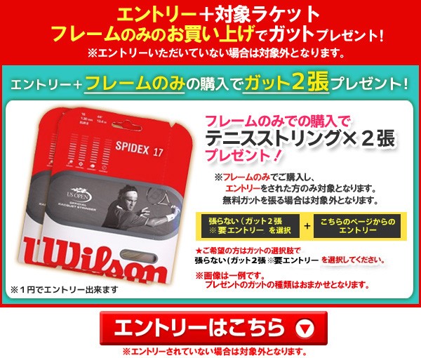 Wilson ウイルソン 硬式テニスラケット プロスタッフ 97RF