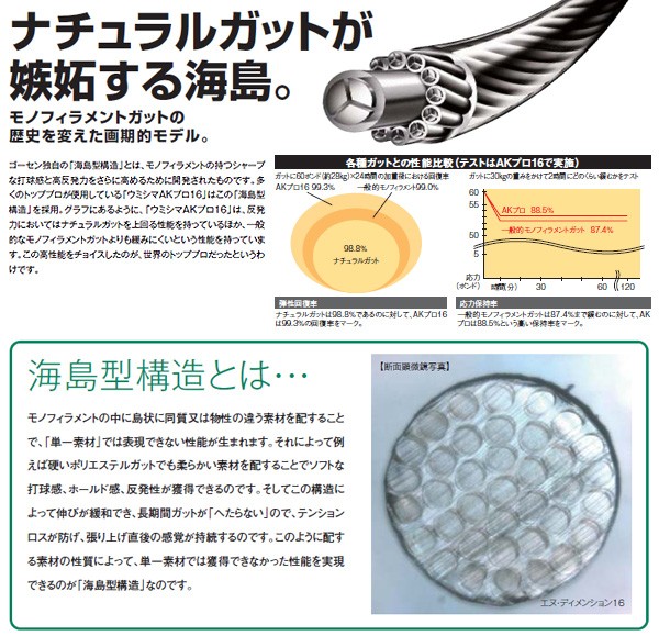 ノンパッケージ・20張セット」GOSEN ゴーセン 「ウミシマAKプロ17