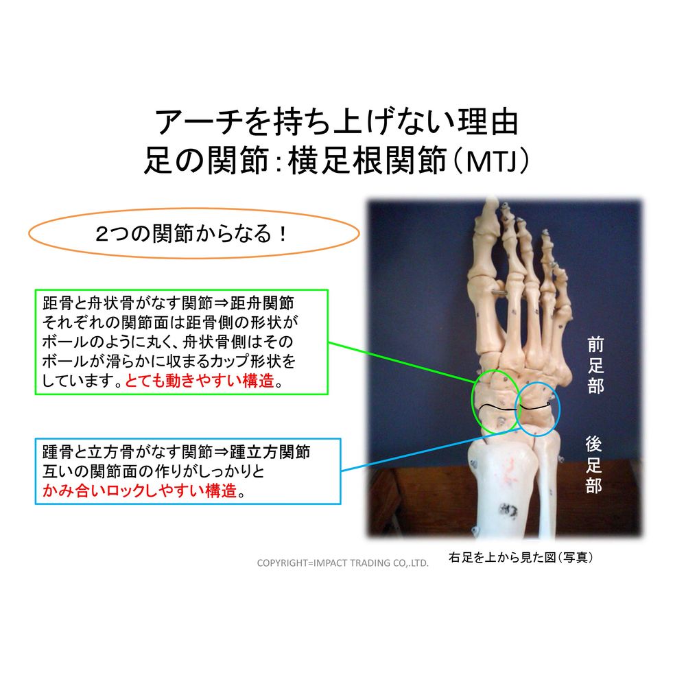 即日出荷』NWPL インソール Life OTC ITN001 ノースウエスト・ポ