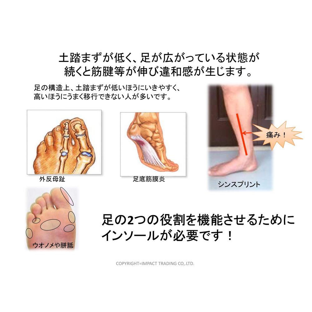 即日出荷』NWPL インソール Life OTC ITN001 ノースウエスト・ポ