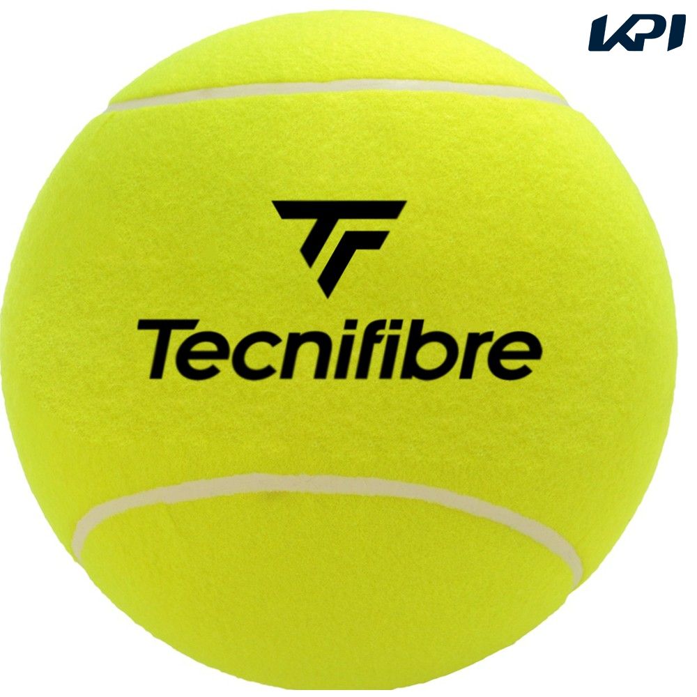 テクニファイバー Tecnifibre テニスアクセサリー  ミディアムボール サインボール MEDIUM BALL TFAA030｜kpi24