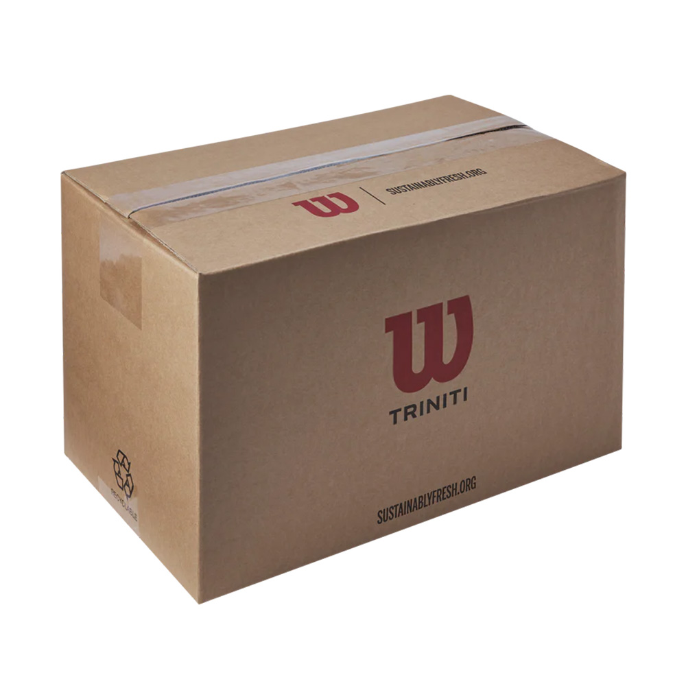「最短当日出荷」ウイルソン Wilson テニス 硬式テニスボール TRINITI CLUB TBALL トリニティ クラブ テニスボール 1箱 72球入  WR8201501001_2