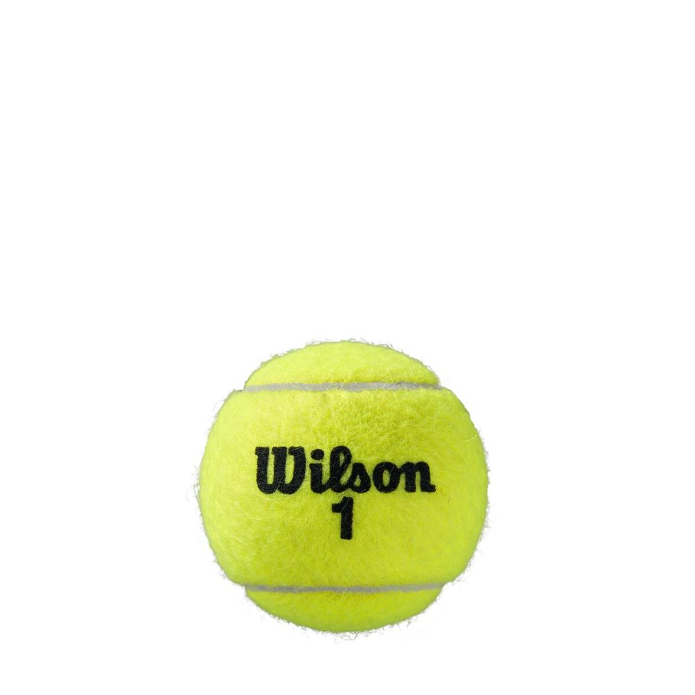 ウイルソン Wilson テニスボール  ローランギャロス クレーコート ROLAND GARROS CLAY COURT 3球入 1箱 24缶入  WRT125000 『即日出荷』｜kpi24｜03