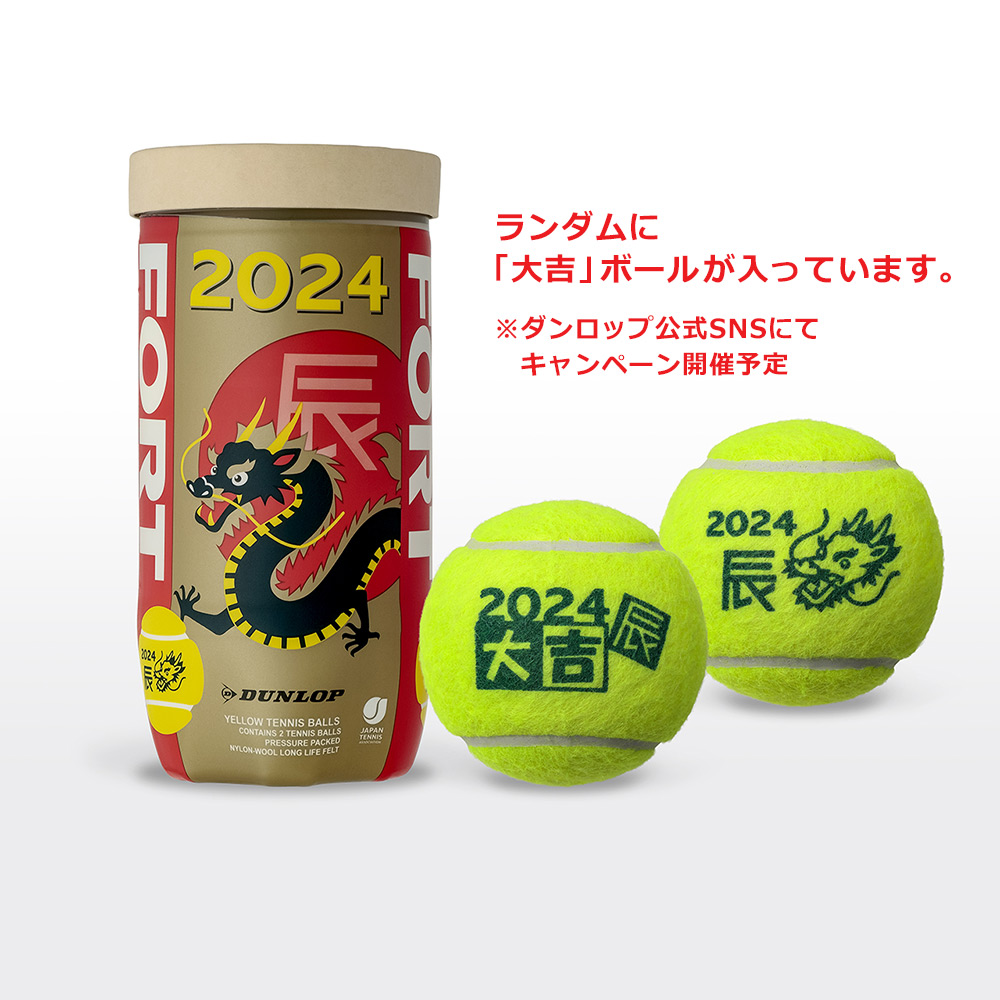 DUNLOP 『即日出荷』ダンロップ 硬式テニスボール 干支ボール