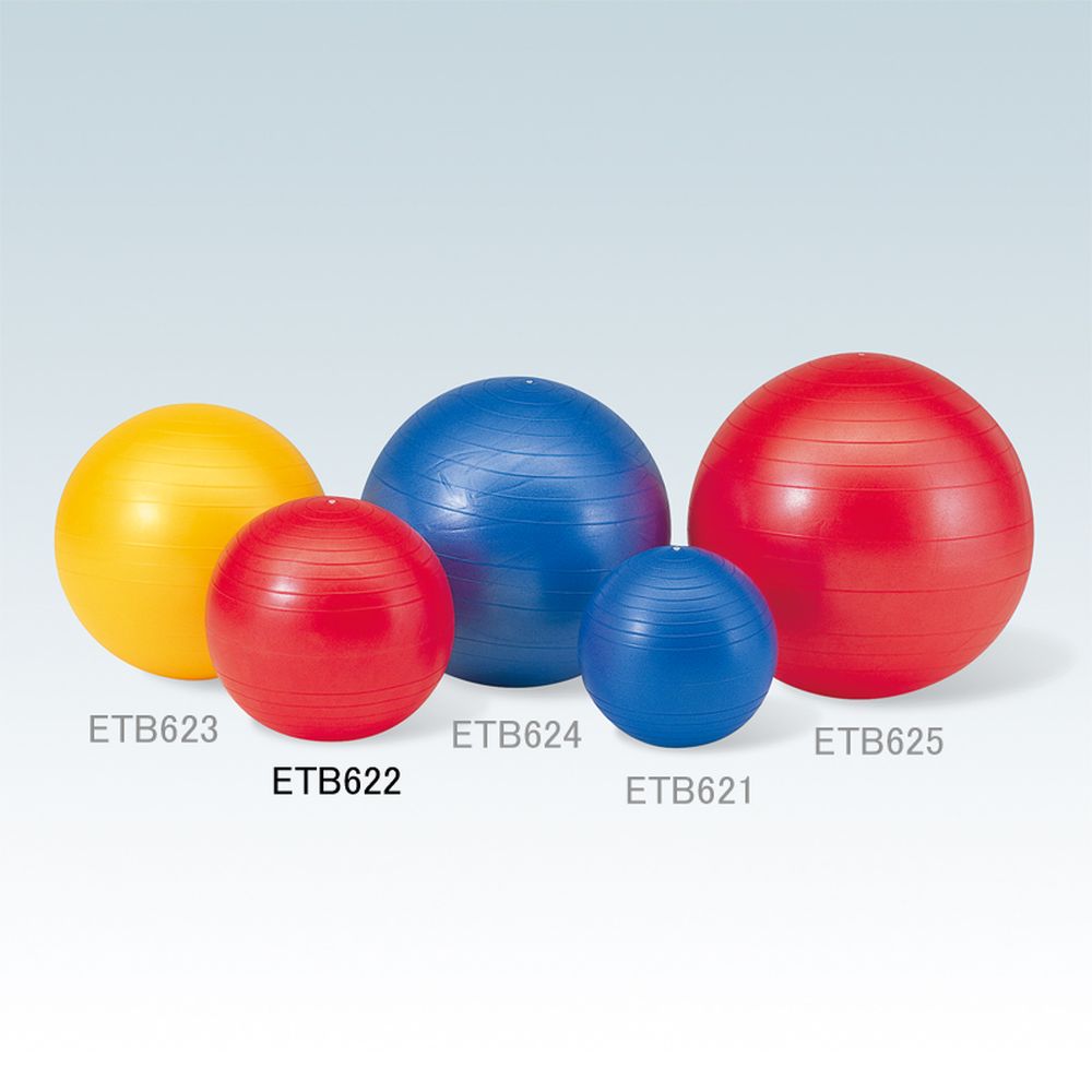 エバニュー EVERNEW フィットネス・エクササイズ用品  ジムボール45 ETB622