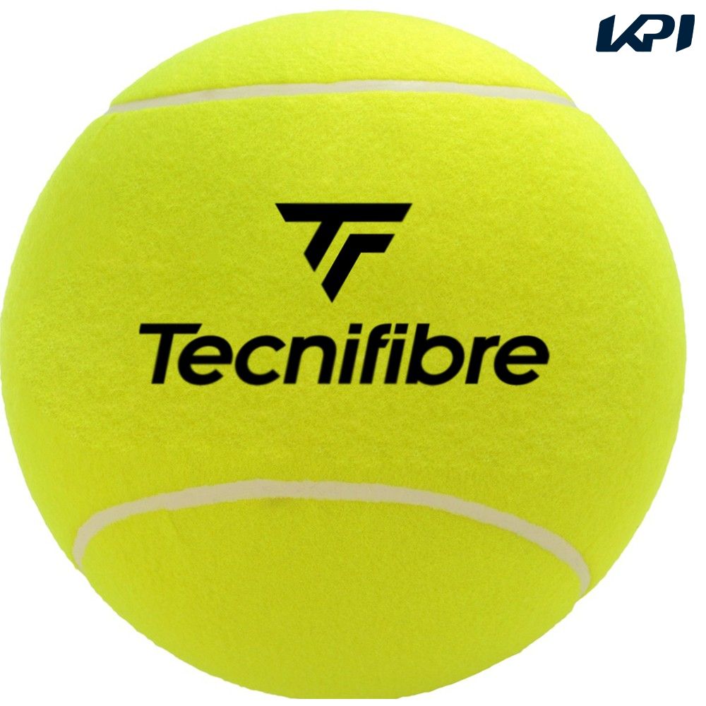 テクニファイバー Tecnifibre テニスアクセサリー  ミディアムボール サインボール MEDIUM BALL TFAA030｜kpisports