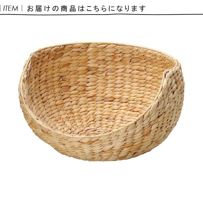 cdri1743_1.jpg