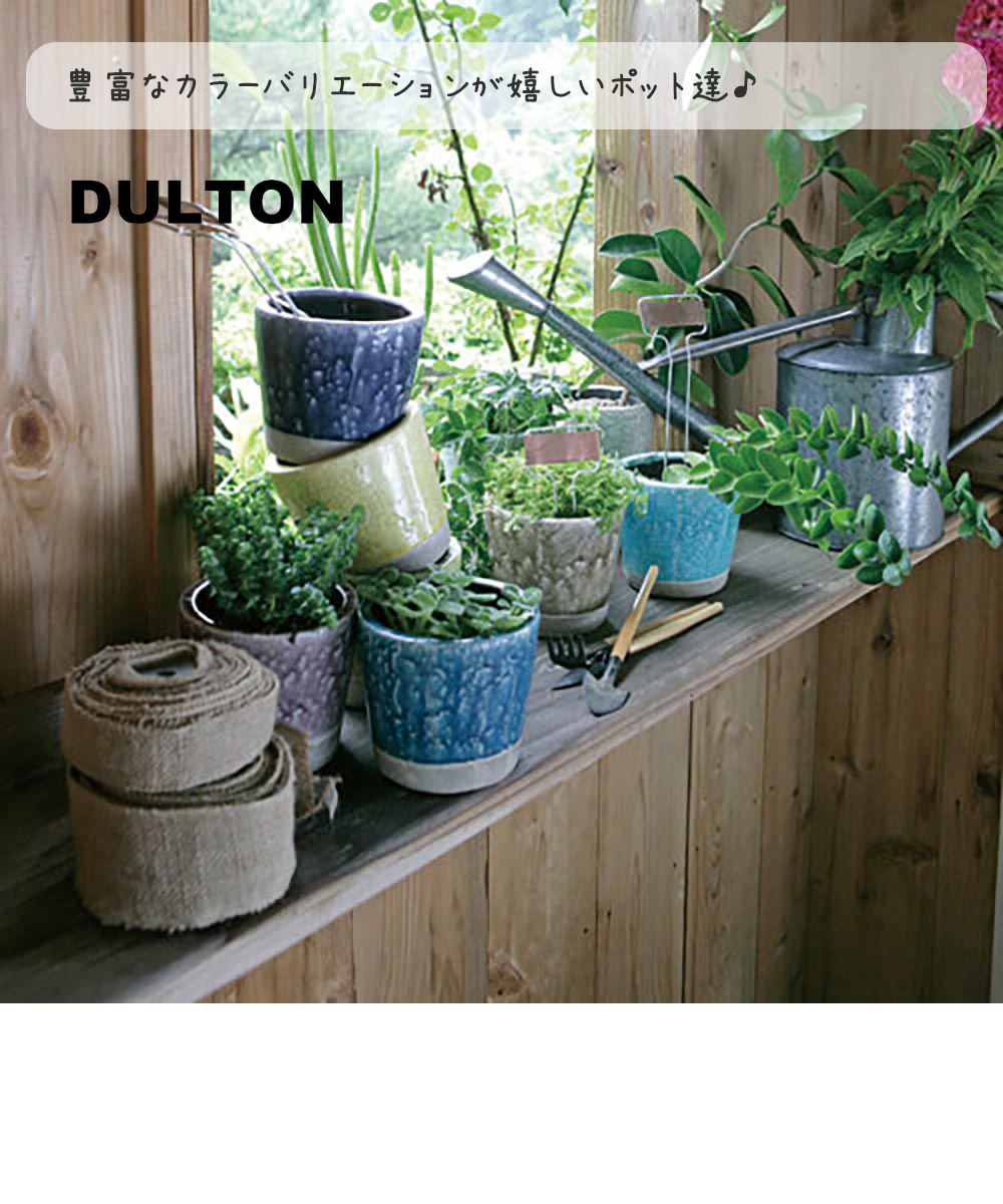 DULTON ダルトン カラーグレーズポット 植木鉢 鉢 フラワーポット 多肉