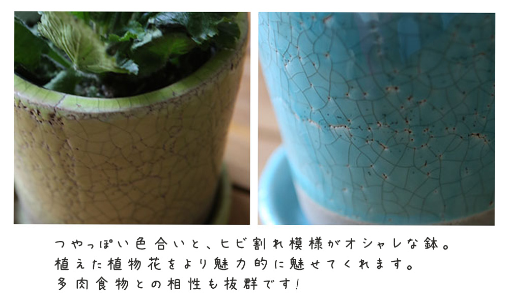 受皿付きで、屋内でも楽しめます。