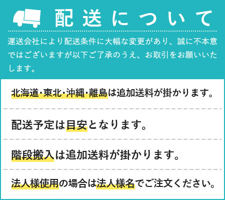 日本製 壁掛けドレッサーミラー 棚セット ウォールミラー オフホワイト