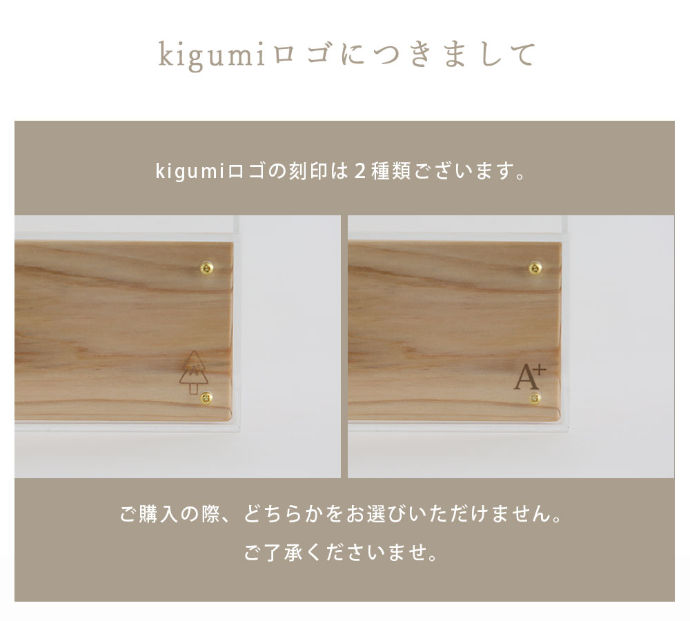 A+ (アクセントプラス) 冷蔵庫用バナナケース バナナケース 収納