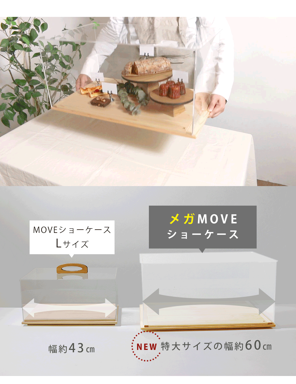 A+ (アクセントプラス) メガ MOVE ショーケース ムーブ 卓上 幅60cm