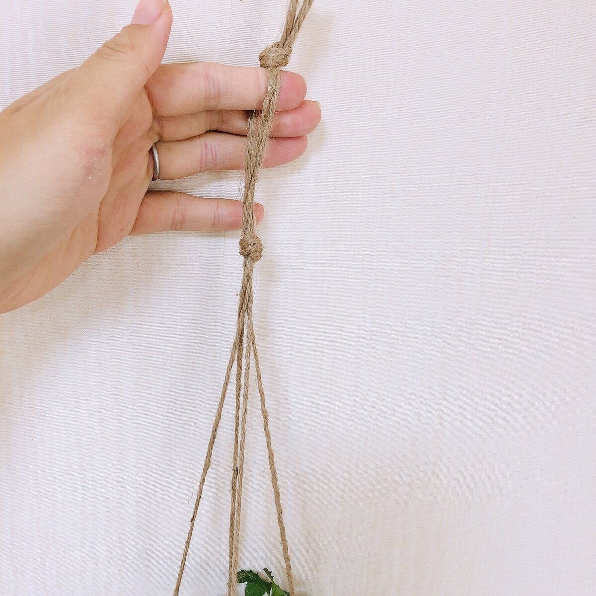 おしゃれ　観葉植物　吊り下げ　 ハートアイビー　ロング　木の香りがする鉢　4号　受け皿付き　壁掛け |  | 06