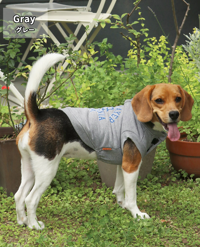 クリフメイヤードッグ KRIFF MAYER DOG アメカジ ドッグ お揃い 犬服 カレッジロゴ 暖かい ペアルック カラフル 防寒 小型犬 中型犬 ロゴ スウェット クルー | KRIFF MAYER | 01