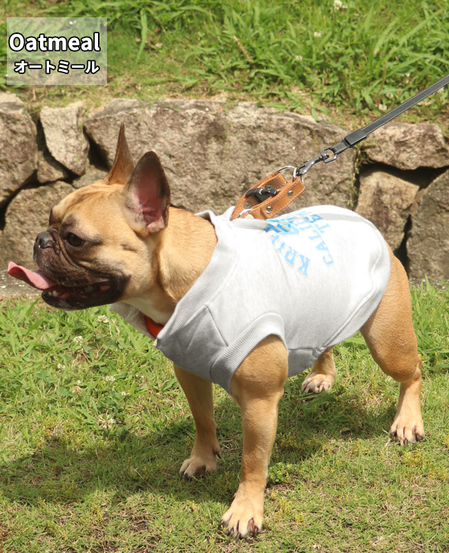 クリフメイヤードッグ KRIFF MAYER DOG アメカジ ドッグ お揃い 犬服 カレッジロゴ 暖かい ペアルック カラフル 防寒 小型犬 中型犬 ロゴ スウェット クルー | KRIFF MAYER | 03