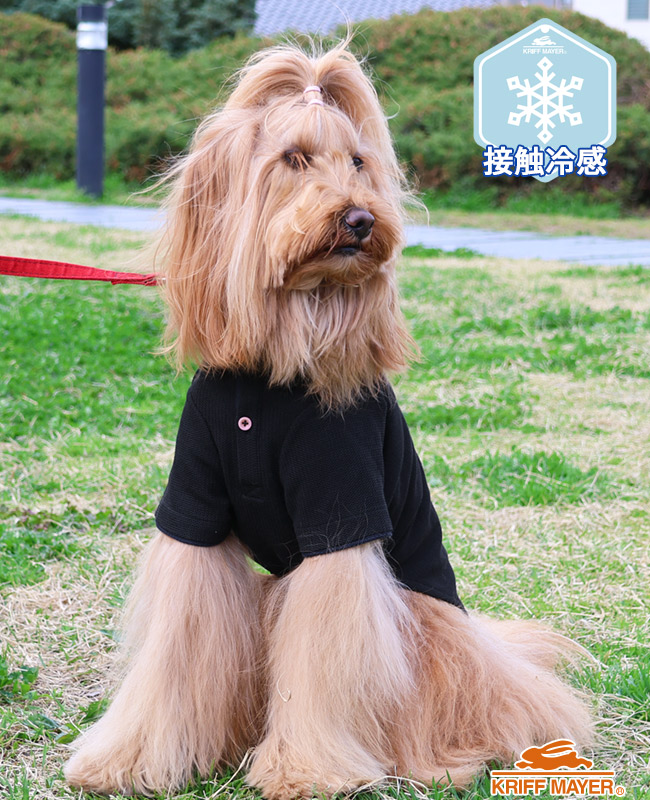クリフメイヤードッグ KRIFF MAYER DOG ポロシャツ ドッグ お揃い 犬服 ペアルック 接触冷感 ボタン お洒落 抜け毛対策 着脱簡単 冷感 リンクス カノコ ポロ | KRIFF MAYER | 02