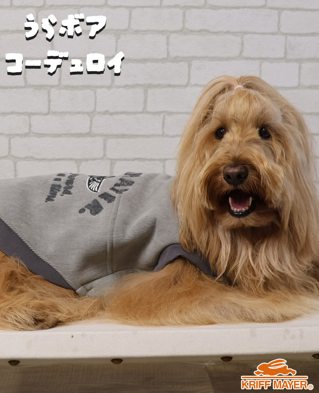 クリフメイヤー ドッグ KRIFF MAYER DOG アウター お揃い 犬服 防寒 袖なし カジュアル 裏ボア コーデュロイ ボンバー ジャケット | KRIFF MAYER | 01