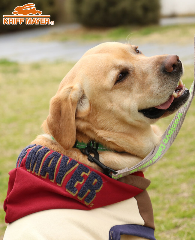 KRIFF MAYER（クリフメイヤー） ドッグ KRIFF MAYER DOG スウェット お