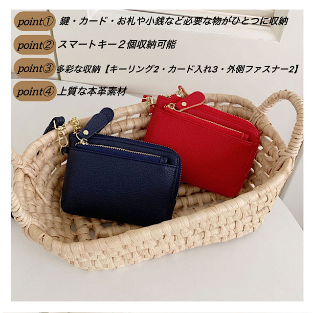 スマートキーケース スマートキー2個収納 カード2枚収納 防水