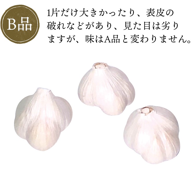 青森県産 令和6年産 にんにく Ｓ　玉 １０ｋｇ 青森県産 令和6年産 にんにく M.S 玉 10kg