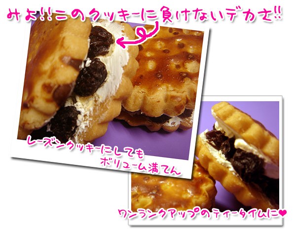 干し葡萄 370g×3袋 セット レーズン チリ産 ドライフルーツ 砂糖不