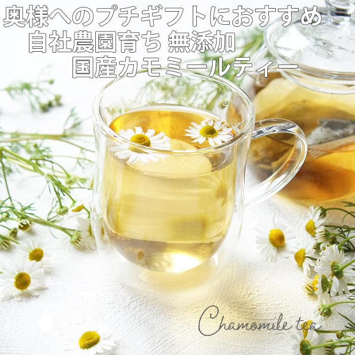 カモミール茶 8包×5袋 | 国産 カツミレ ハーブティ お茶 シングル