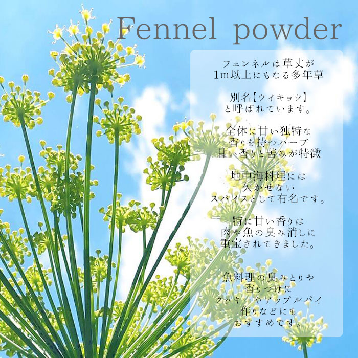フェンネル ハーブティー パウダー 20g 国産 ハーブ ウイキョウ