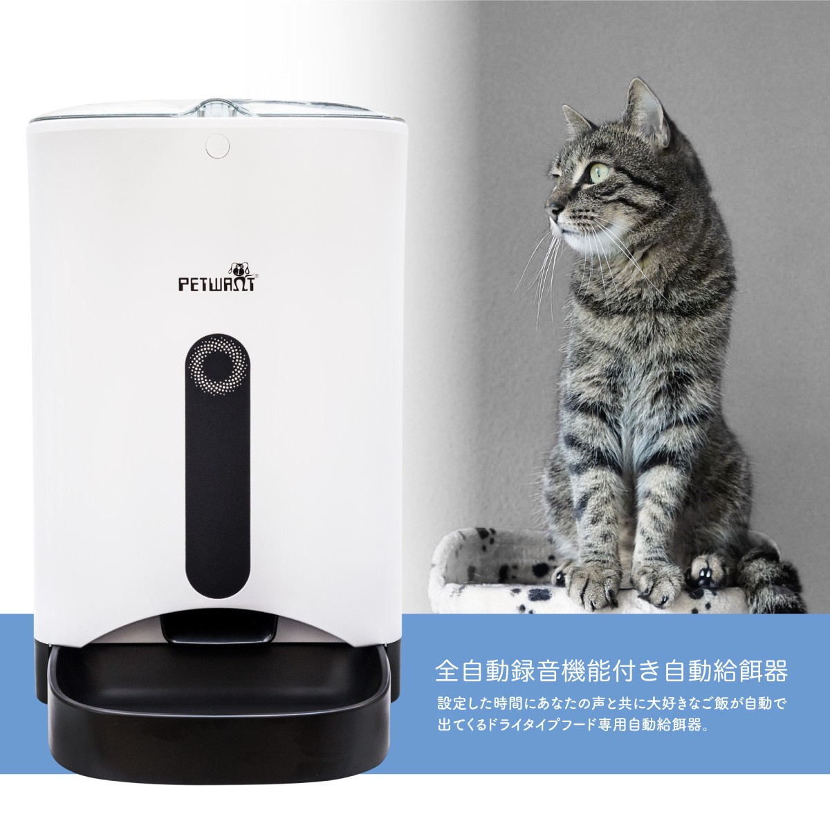 あやすけ 猫&amp;犬用 自動餌やり器 楽天市場 | AYAYI - ペットがもっと快適に、飼い主様がもっと笑顔に。