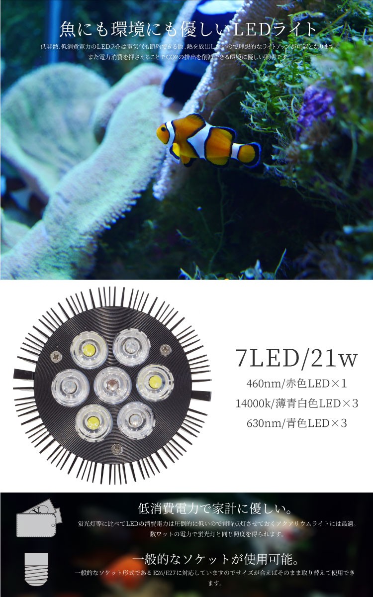 アクアリウム Led ライト 水槽 照明 21w 7led 赤 1 白 3 青 3 キャンペーンもお見逃しなく 流木 E26 水草 金魚 E27 95mm 95mm 熱帯魚 ソケット対応 電球型 アクアリウム Led ライト 水槽 照明 21w 7led 赤 1 白 3 青 3 キャンペーンもお見逃しなく 流木 E26 水草 金魚 E27 95mm 95mm 熱帯魚 ソケット対応 電球型