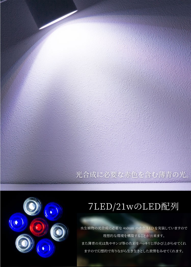 アクアリウム Led ライト 水槽 照明 21w 7led 赤 1 白 3 青 3 水草 金魚 95mm 95mm E26 国内最安値に挑戦 ソケット対応 熱帯魚 E27 流木 電球型 アクアリウム Led ライト 水槽 照明 21w 7led 赤 1 白 3 青 3 水草 金魚 95mm 95mm E26 国内最安値に挑戦 ソケット対応 熱帯魚 E27 流木 電球型