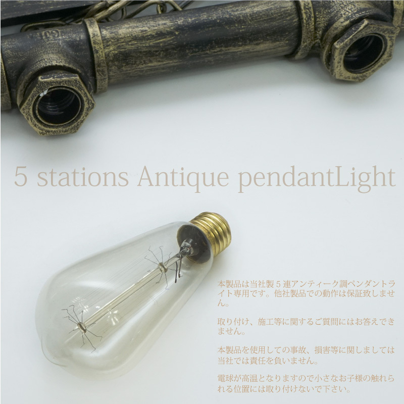 5灯アンティーク調ペンダントライト 専用交換球 エジソンバルブ 電球 1