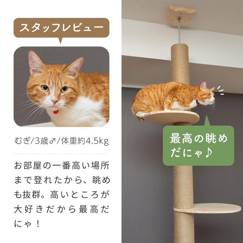 キャットタワー 突っ張り つっぱり 大型 省スペース スリム コンパクト