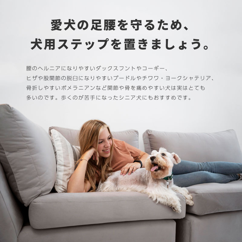ペットスロープ ドッグステップ 犬用ステップ ペットステップ
