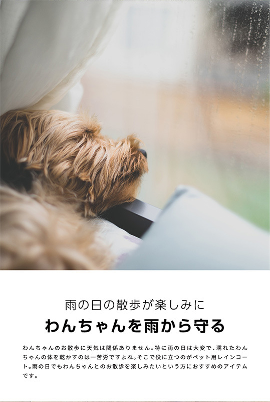 yuu様専用 わんこ撮影用ベンチ椅子(小型犬) 【即出荷】 - インテリア