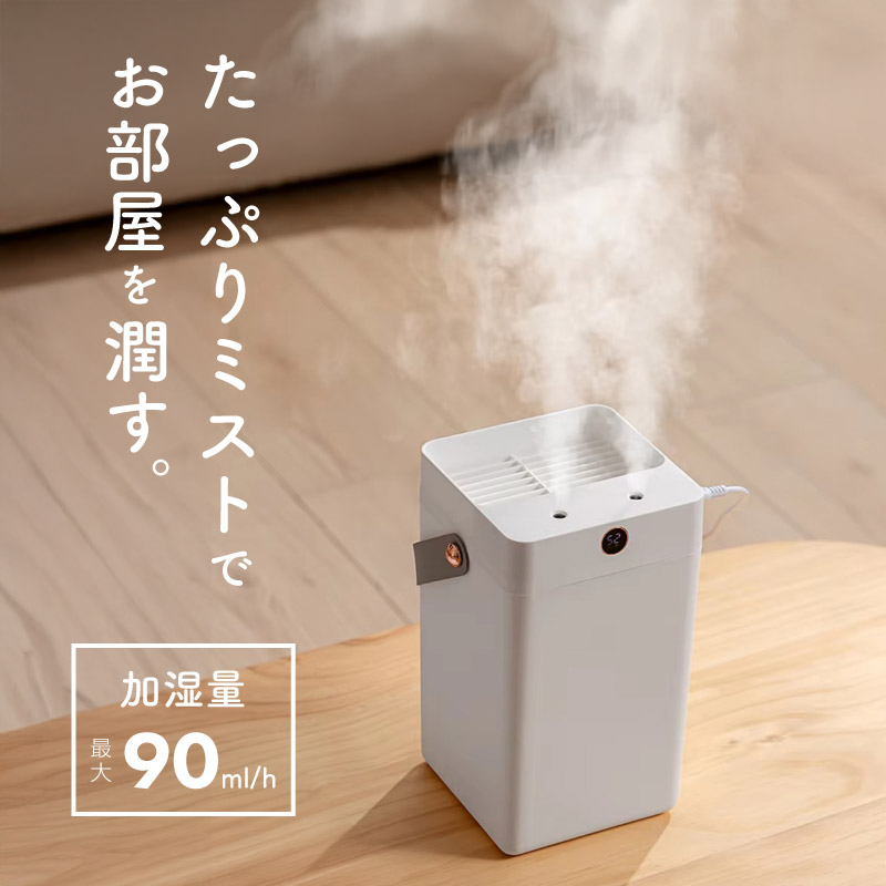 加湿器 卓上 お手入れ簡単 超音波式 ミスト オフィス 寝室 小型 大容量